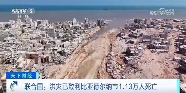 赌注网